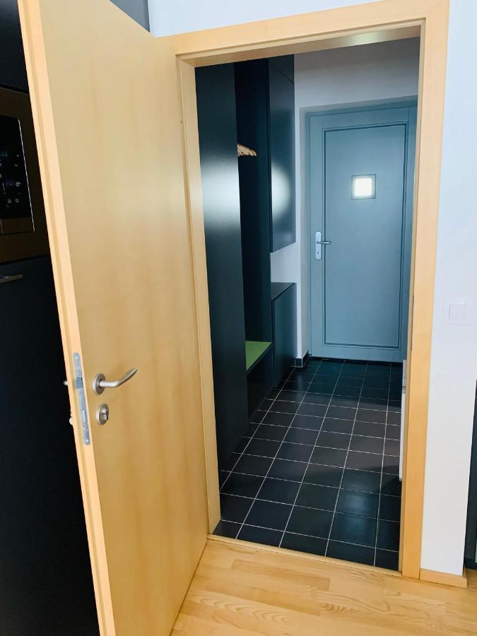 Apartmány U Venuše s velkou terasou Pavlov Exterior foto