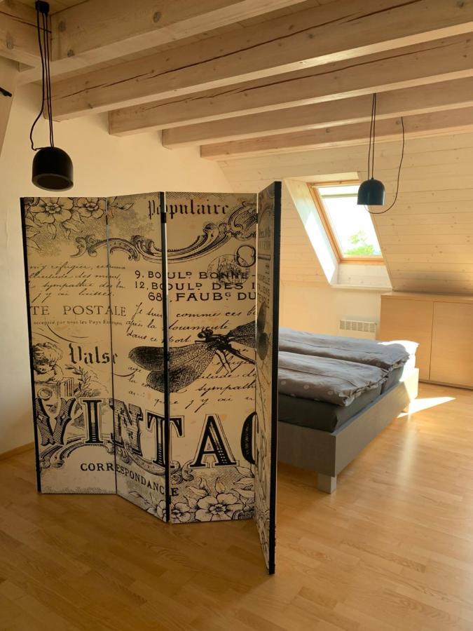 Apartmány U Venuše s velkou terasou Pavlov Exterior foto