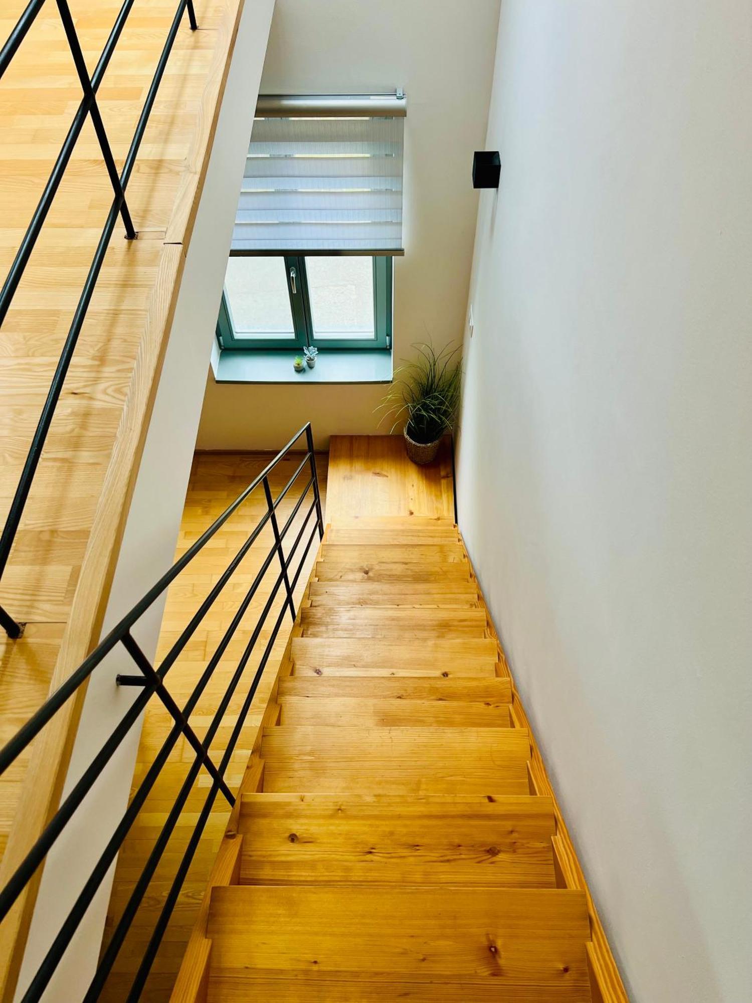 Apartmány U Venuše s velkou terasou Pavlov Exterior foto
