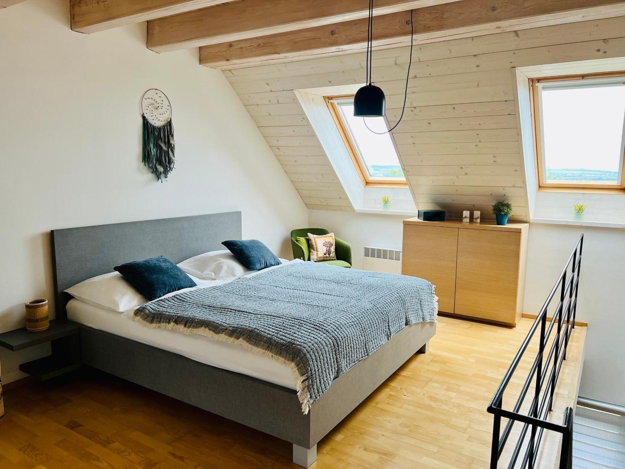 Apartmány U Venuše s velkou terasou Pavlov Exterior foto